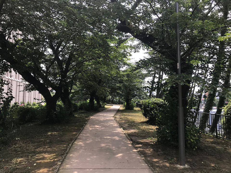外濠公園の遊歩道