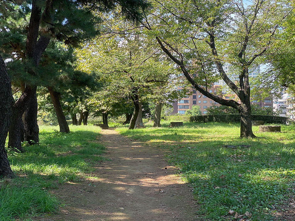 代官丸通りの遊歩道